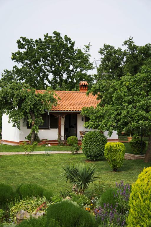 Holiday Home Sergo Poreč Eksteriør billede